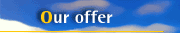 Our offer